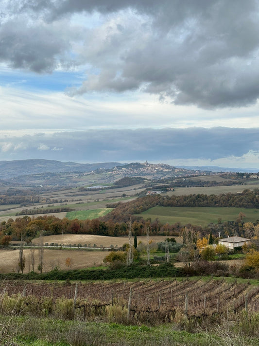 Postcard from Todi: Harvest Time in Umbria - RES IPSA